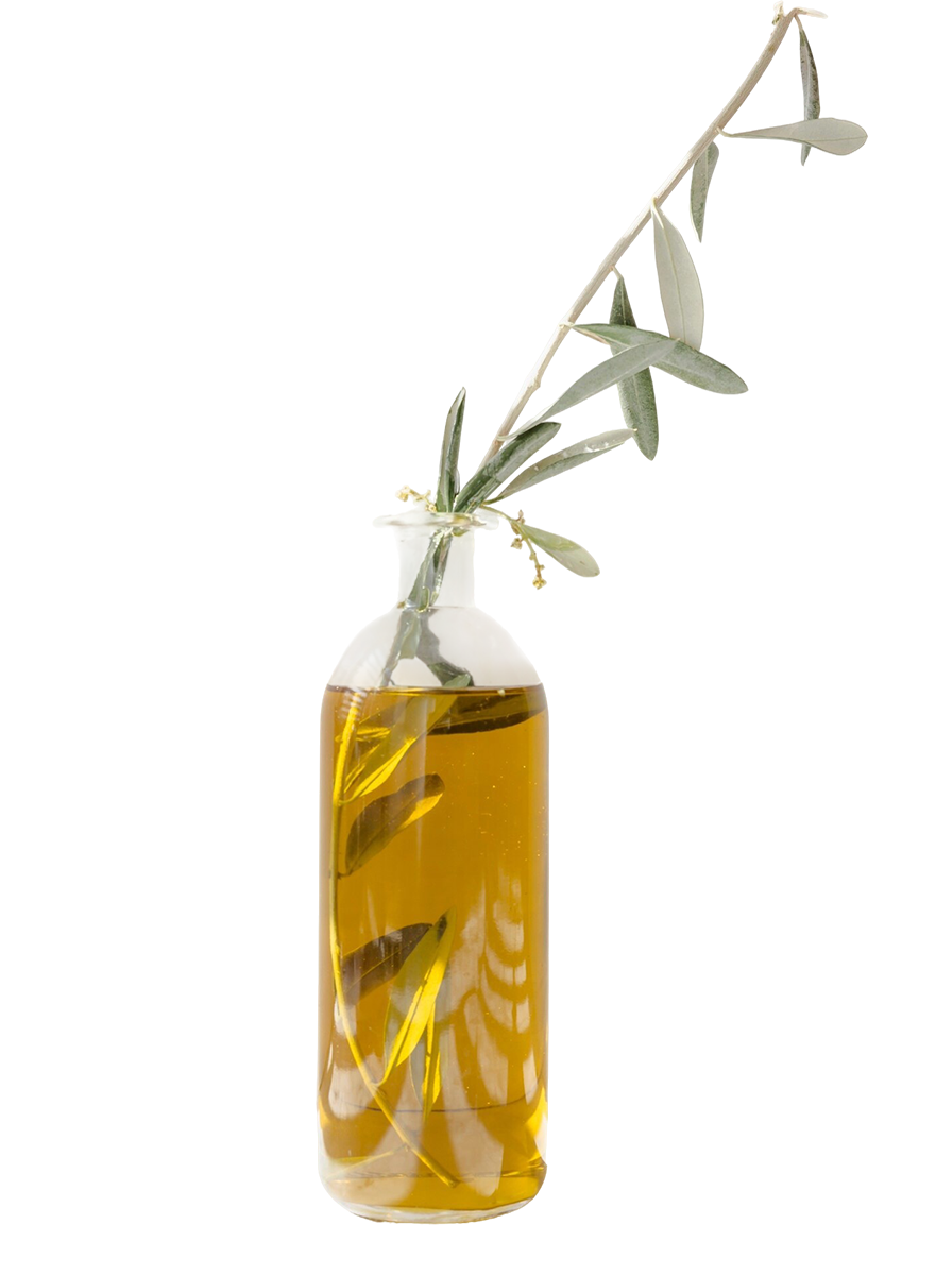 https://egeis-aydin.de/wp-content/uploads/2025/06/olive-oil-food.png